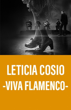 Leticia Cosío -Viva Flamenco-